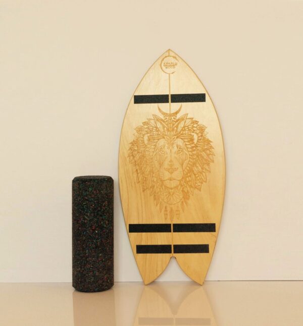 Balance Board – Envio gratis 🇦🇷 - Imagen 2